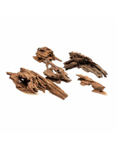 Racine Dragon Wood - 5/20cm Taille S