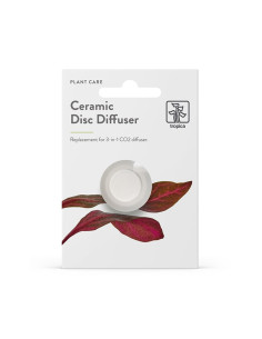 Tropica - Disque en céramique pour diffuseur 3 en 1