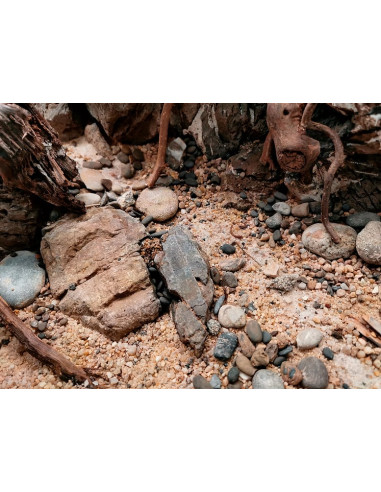 Wio - Belladonna Gravel Mix 2kg, 3 - 40mm