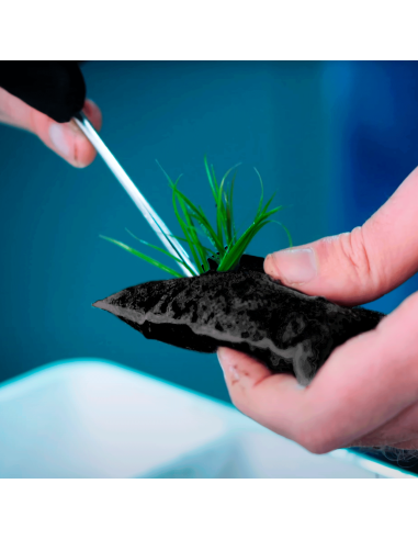 Wio - Aquagrow Insula Pad M (2pcs)