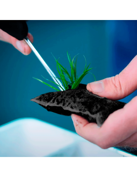 Wio - Aquagrow Insula Pad M (2pcs)