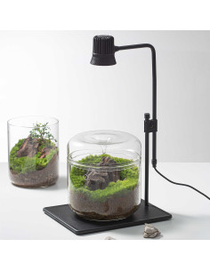 Bioloark - Wabi Kusa Lampe DX-5B 2