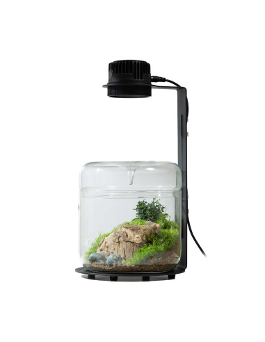 Bioloark - Wabi Kusa Lampe TF-05