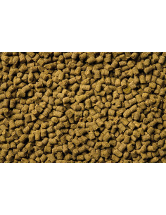 Oase - Organix Power Sticks - 175ml 2