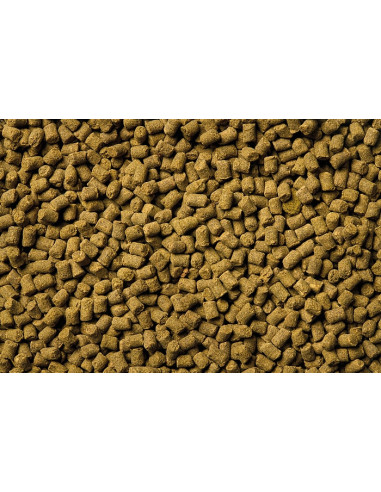 Oase - Organix Power Sticks - 175ml