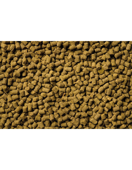 Oase - Organix Power Sticks - 175ml