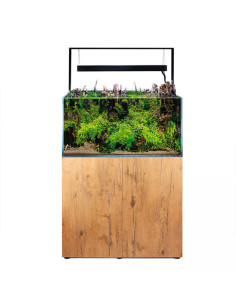 Aquael - UltraScape 90 Forest Set 2