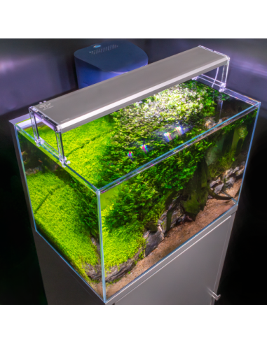 Skylight - Entriq FS.30 - Pour aquarium de 32 à...