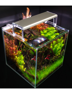 Skylight - Entriq FS.30 2