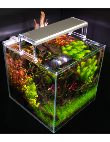 Skylight - Entriq F5XL.135 - Pour aquarium de...