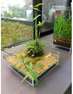 DOOA - Neo Glass AIR W20×D20×H9cm 2