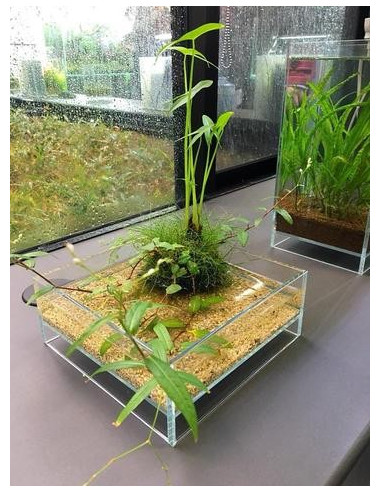 DOOA - Neo Glass AIR W20×D20×H9cm