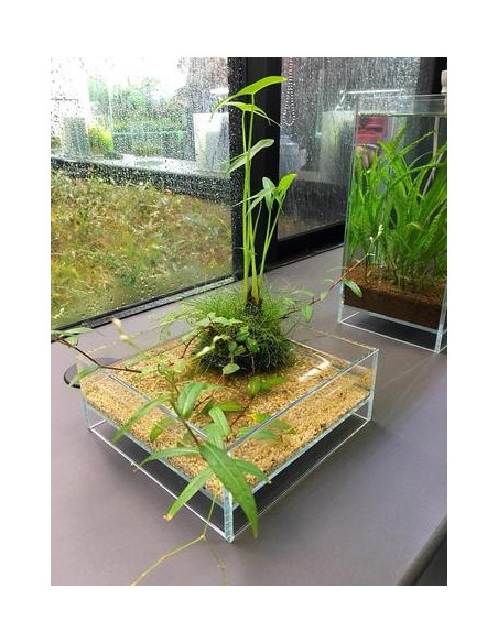 DOOA - Neo Glass AIR W20×D20×H9cm