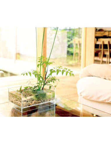 DOOA - Neo Glass AIR W20×D20×H9cm