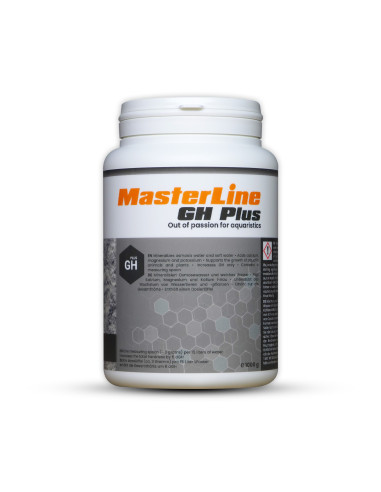 MasterLine - GH Plus 1Kg