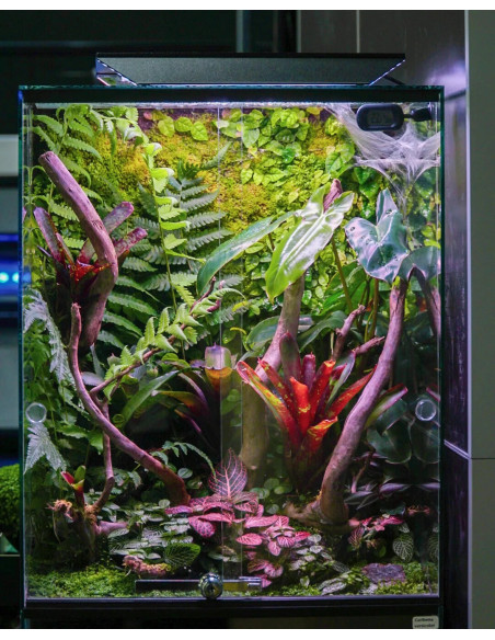 Skylight PRI-55 Intense Set - Wifi