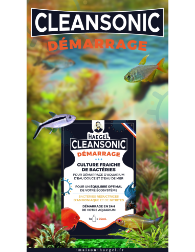 Haegel - CleanSonic démarrage 25 ML