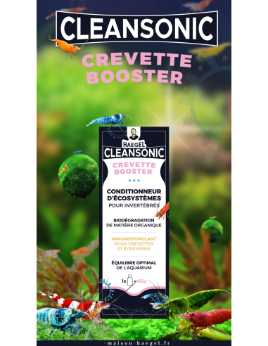 Haegel - CleanSonic Crevette Booster 65gr