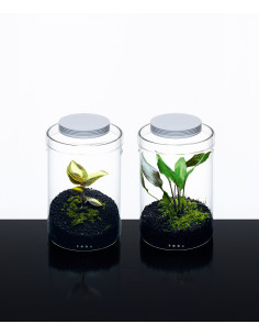 DOOA  - Glass Pot MARU 130 2