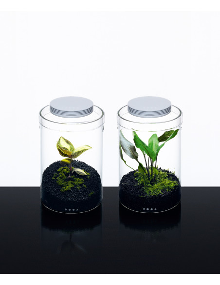 DOOA  - Glass Pot MARU 130