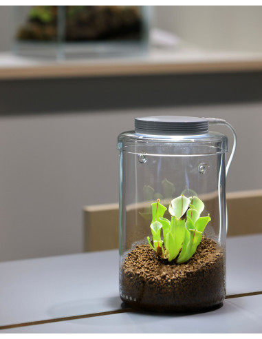 DOOA  - Glass Pot MARU 130