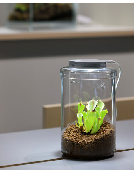 DOOA  - Glass Pot MARU 130