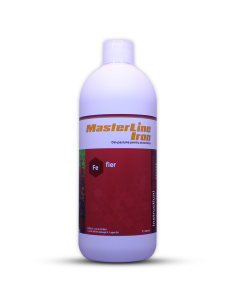 MasterLine - Iron 1L