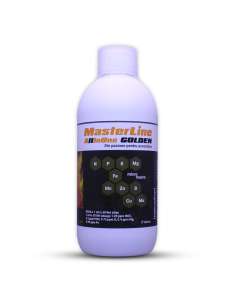MasterLine - All In One Golden 500ml