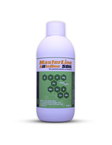 MasterLine - All In One Lean 500ml