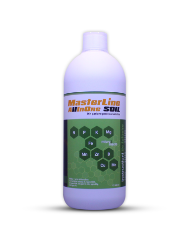 MasterLine - All In One Lean 1L