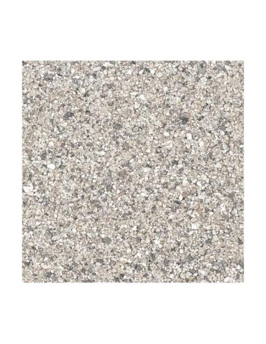 Scalare - Gravier fin clair 10kg