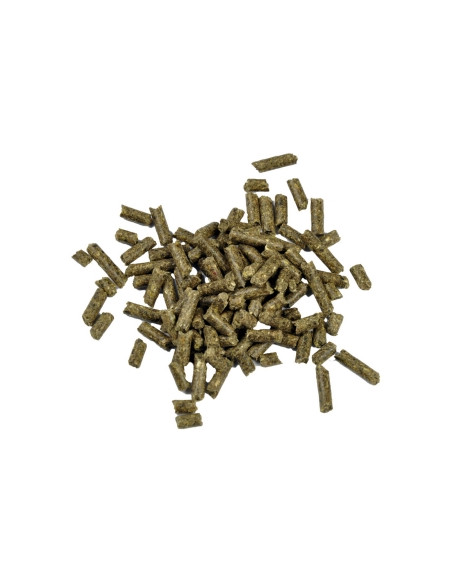 Dr. Bassleer - Biofish Food shrimp sticks Acai 60gr