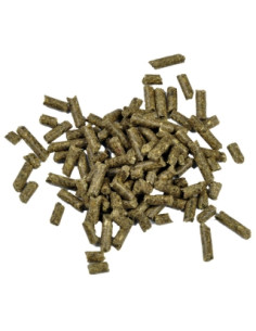 Dr. Bassleer - Biofish Food shrimp sticks Chlorella 60gr 2