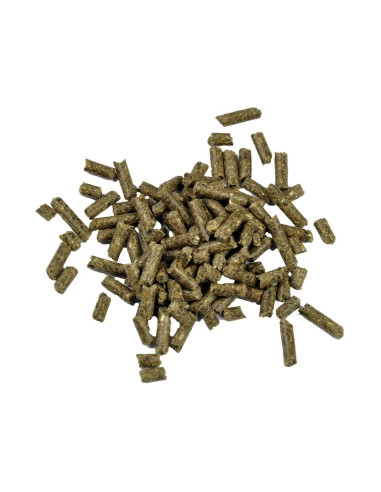 Dr. Bassleer - Biofish Food shrimp sticks...