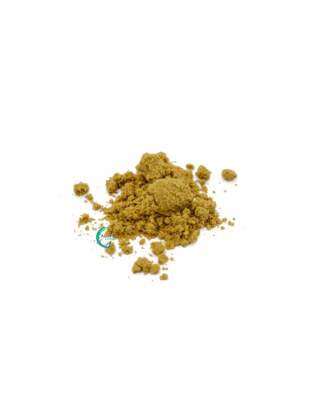 Dr. Bassleer - Biofish Food MicroNano XS 20g