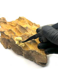 Riverest - Fast Fusion Compound Yellow - 150ml 2