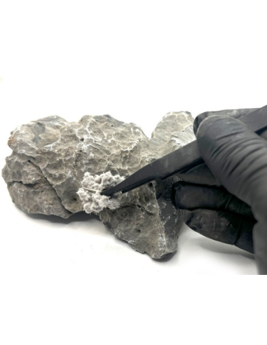 Fast Fusion Compound Grey - 150ml