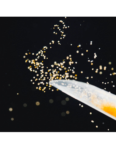 StreamBiz - Pure Nature - Nauplies d’Artemia 100ml