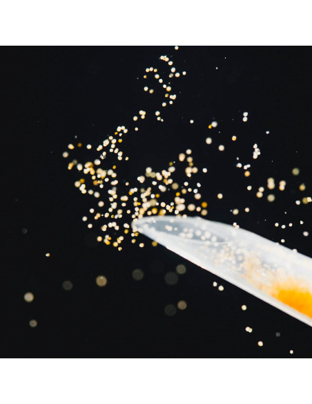 StreamBiz - Pure Nature - Nauplies d’Artemia 100ml