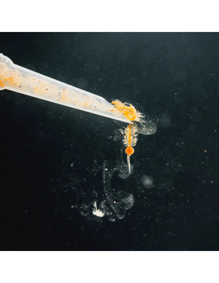 StreamBiz - Pure Nature - Artémia 100ml