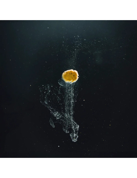 StreamBiz - Artemia Paste 70 g