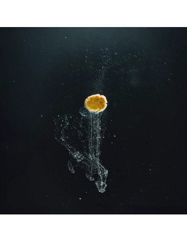 StreamBiz - Red Mosquito Larvae Paste 70g