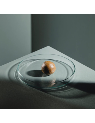 StreamBiz - Red Mosquito Larvae Paste 70g