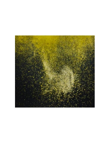 StreamBiz - Crusta Gro Croissance 40g