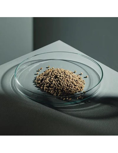 StreamBiz - Crusta Chips Protein X 40g