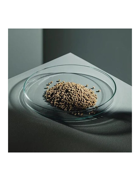 StreamBiz - Crusta Chips Protein X 40g