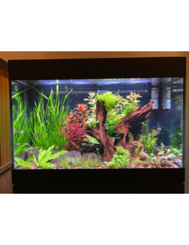 Oase - Styleline 125 Aquarium + Meuble Noir