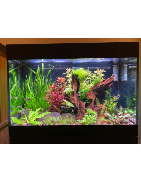 Oase - Styleline 125 Aquarium + Meuble Noir