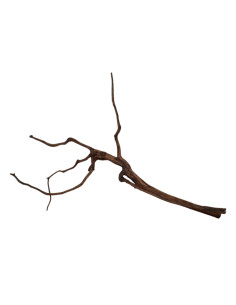 Dark Snake Wood DSWS08