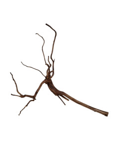 Dark Snake Wood DSWS10